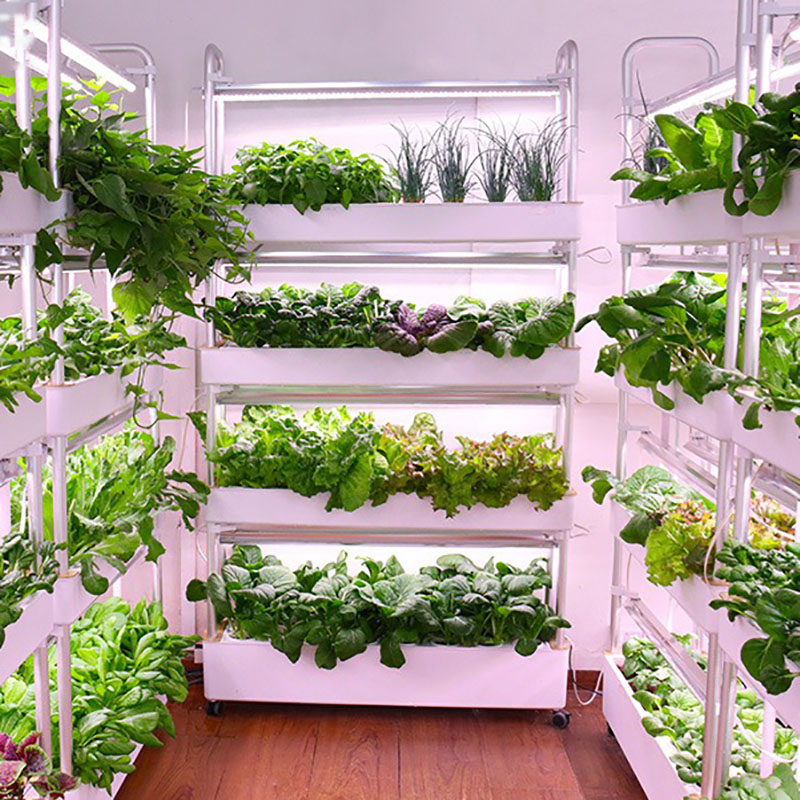 Smart Garden Vertical - 수직 수경 재배 시스템, 스마트 실내