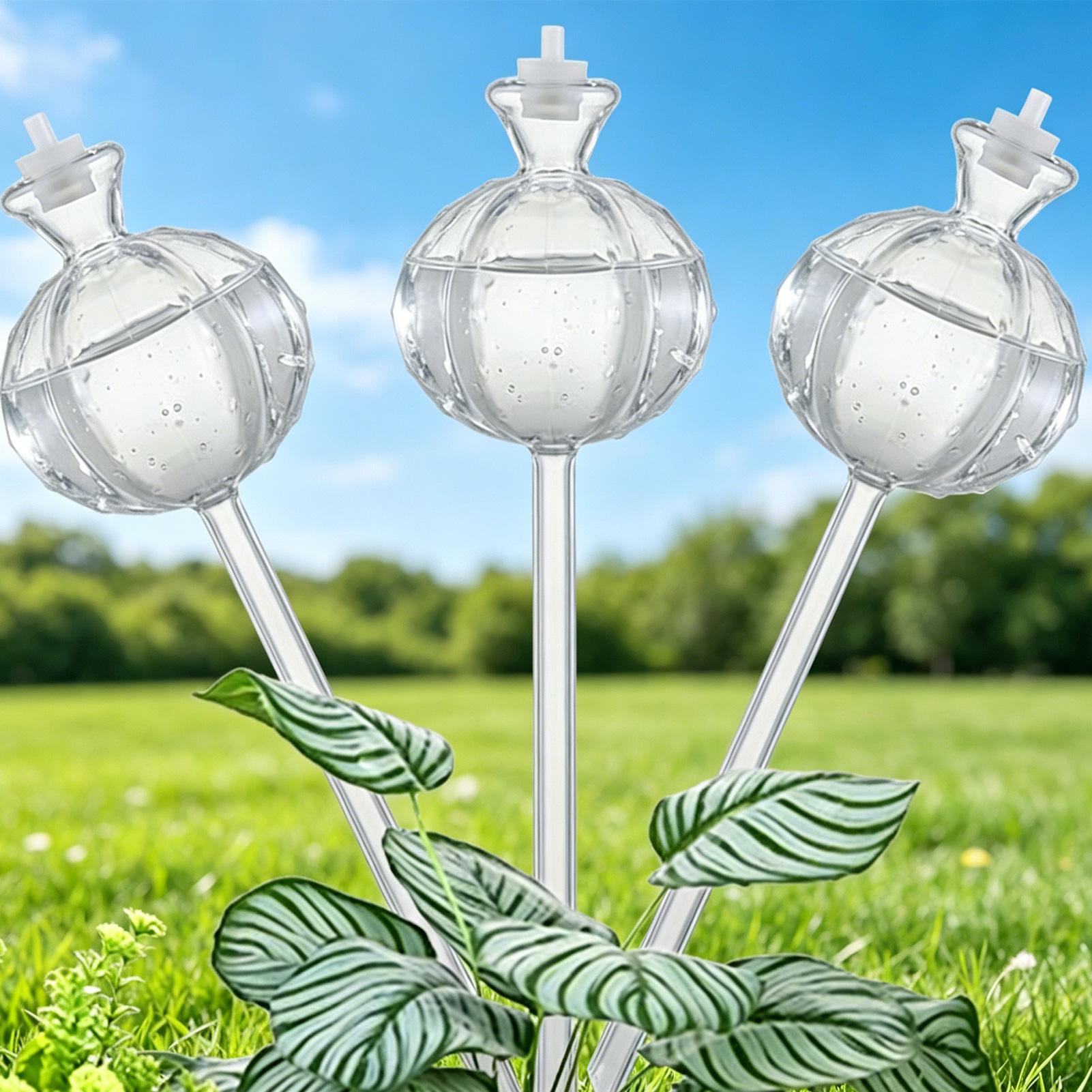 Plant Watering Globe - 자가 급수 글로브 3개, 느린 방출