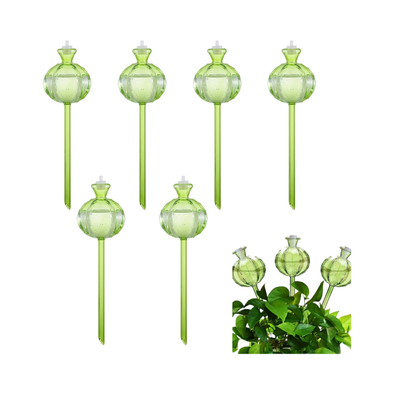 Plant Watering Globe - 식물 급수 글로브 자동 점적 관수