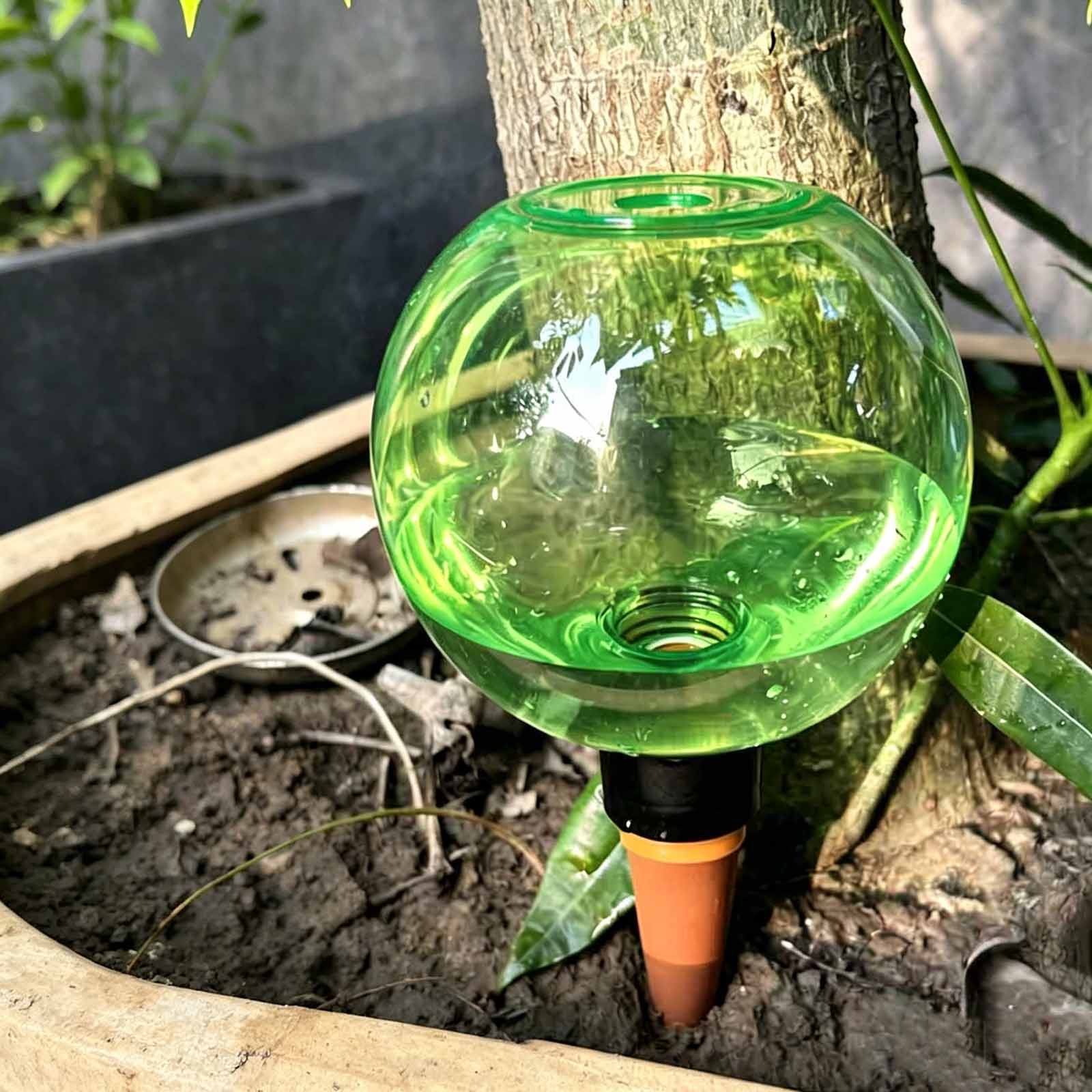 Plant Watering Globe - 1/4개입 자동 급수볼, 식물 자가 급수