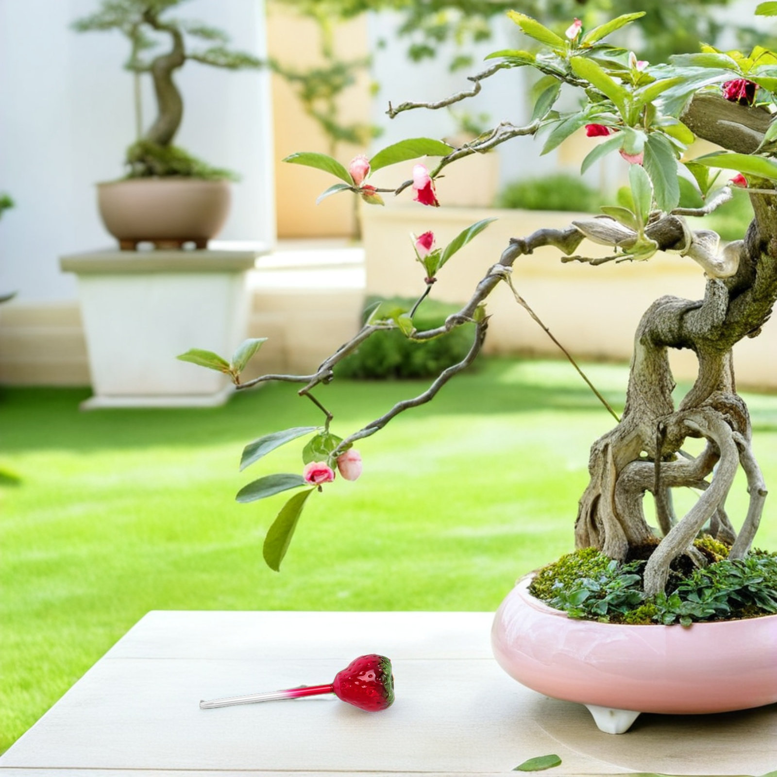 Plant Watering Globe - 2개입 유리 딸기 식물 물주기 글로브