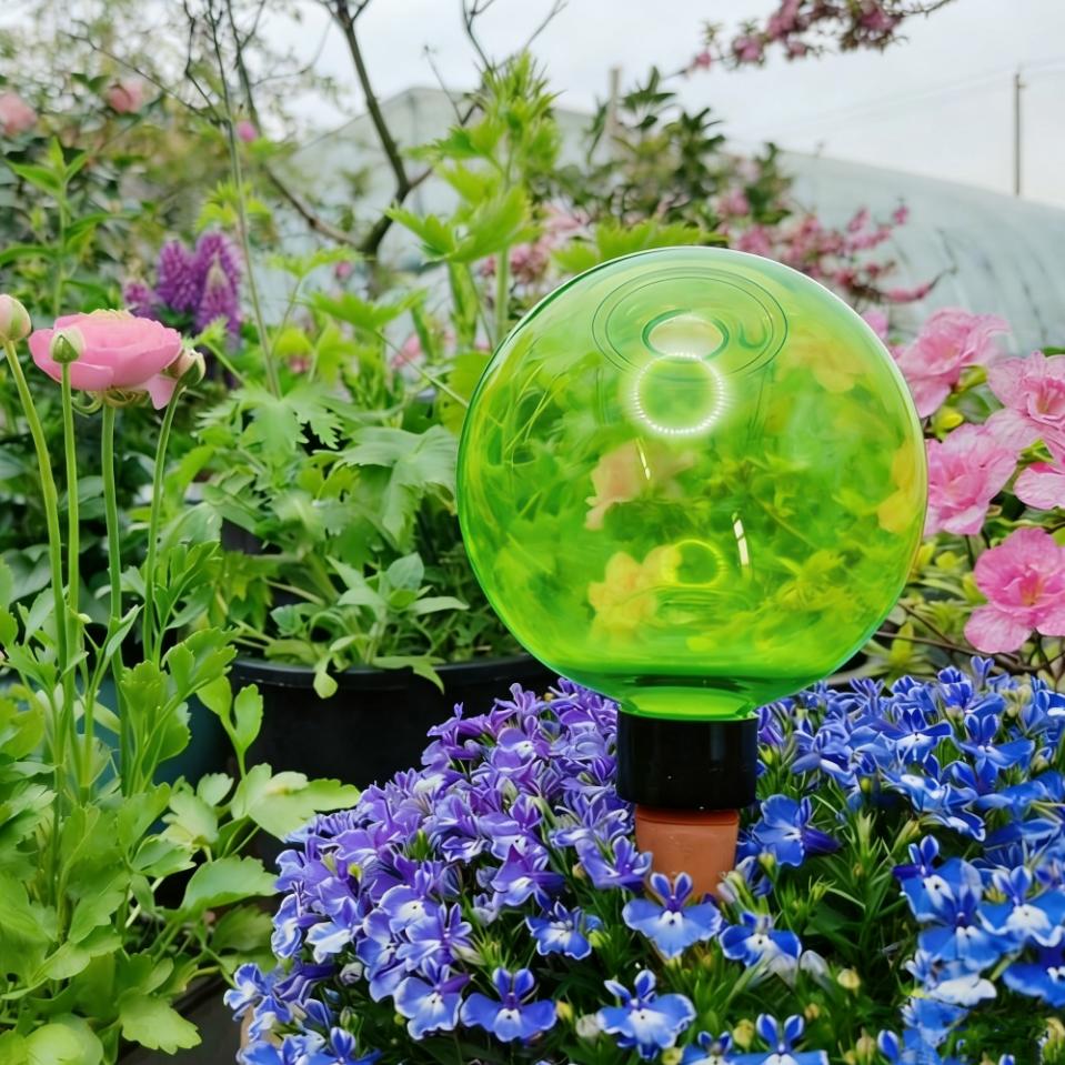 Plant Watering Globe - 3개 대형 식물 자동 급수 글로브