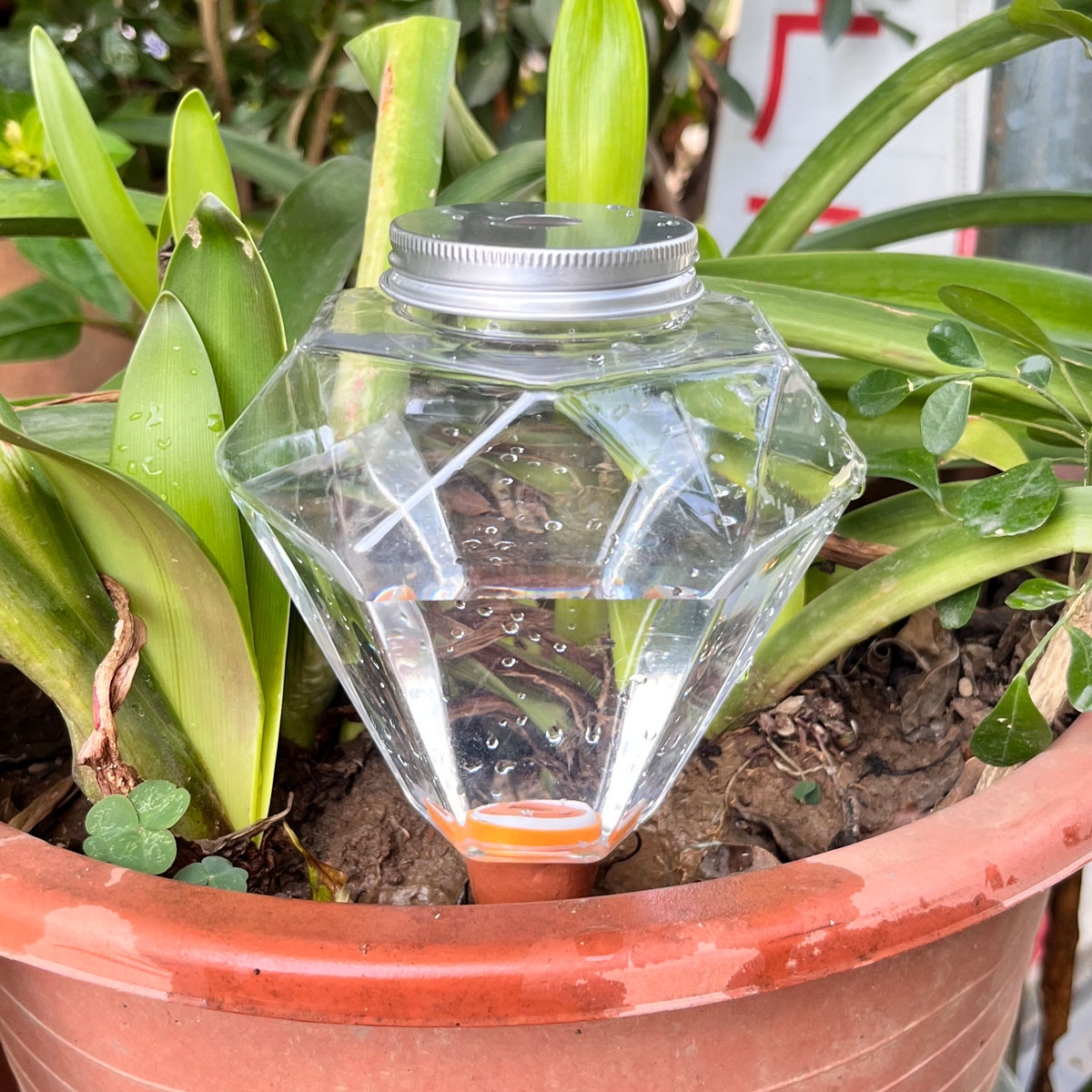 Plant Watering Globe - 귀여운 플라스틱 자동 급수기 1개, 실내외