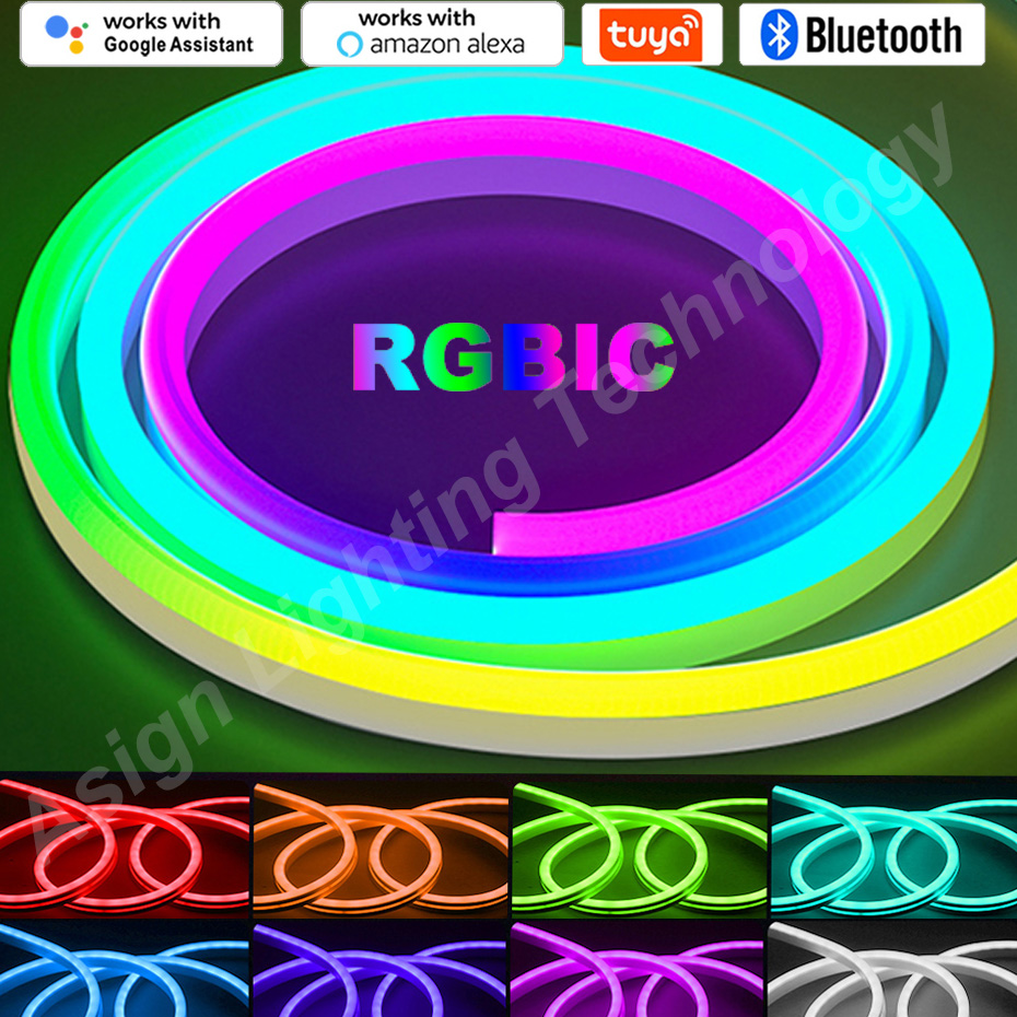 Smart Garden Led Lights - RGBIC LED 네온 스트립 12V 96LED/M