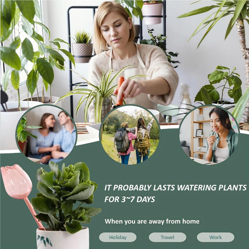핑크 튤립 식물 물주기 볼 자동 물주기 볼 및 자동 급 - Plant Watering Globe 리뷰 및 가격