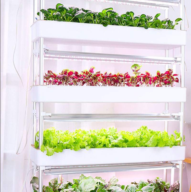 수직 수경 재배 시스템, 스마트 실내 수경 재배, 정원 - Smart Garden Vertical 리뷰 및 가격