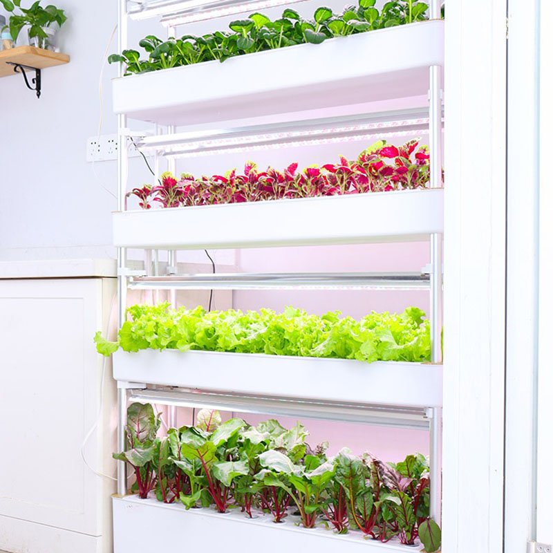 수직 수경 재배 시스템, 스마트 실내 수경 재배, 정원 - Smart Garden Vertical 리뷰 및 가격