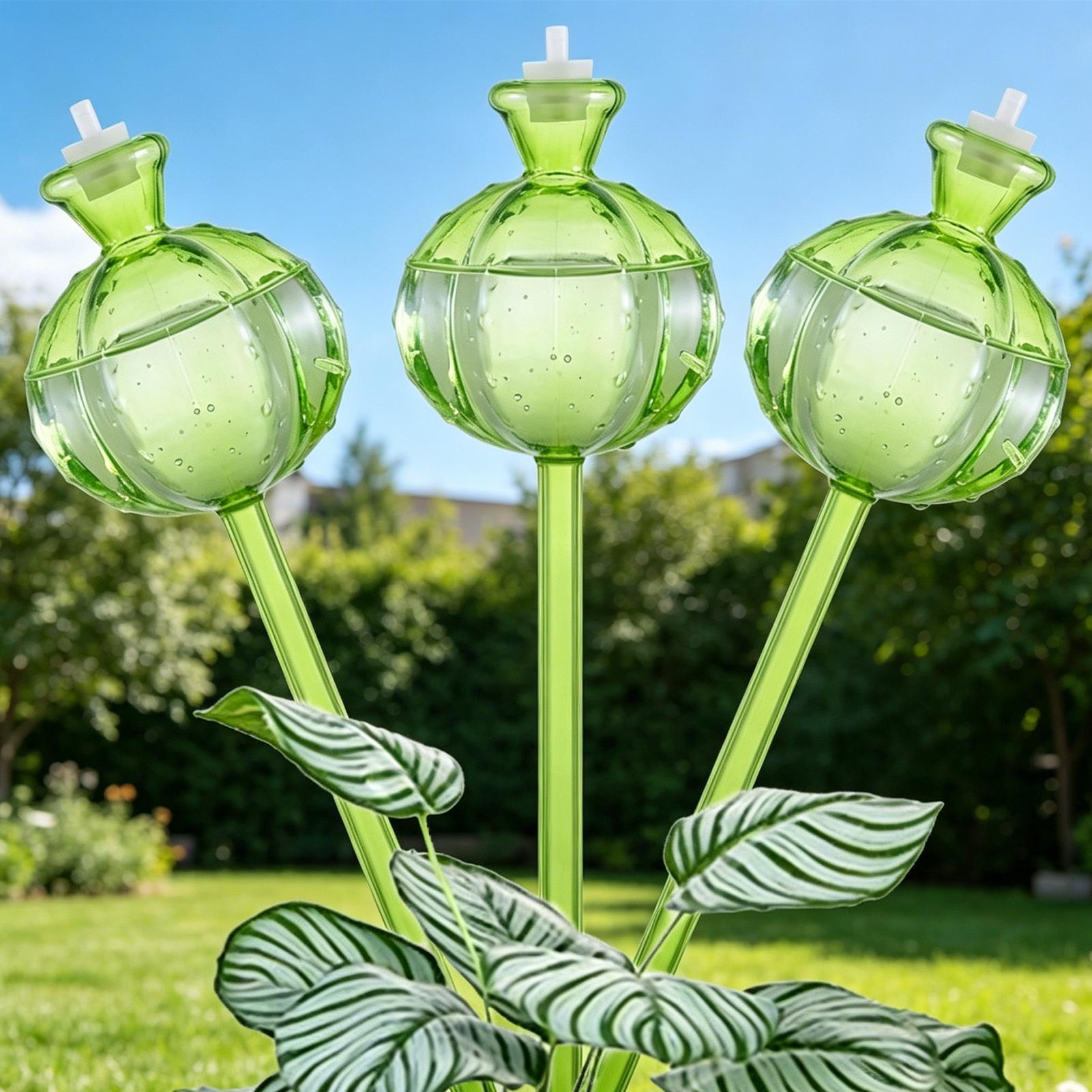 자가 급수 글로브 3개, 느린 방출 방식, 휴가철 관리 - Plant Watering Globe 리뷰 및 가격