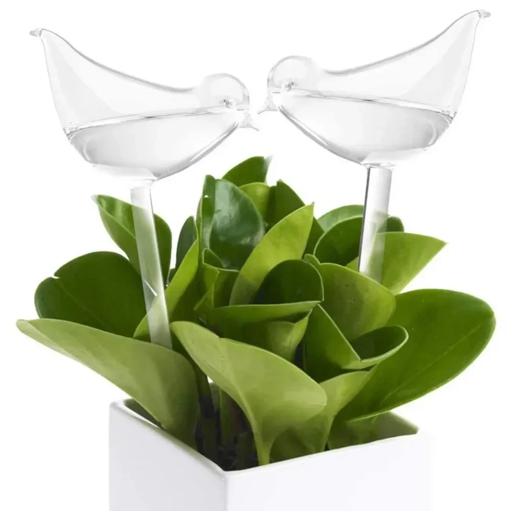 새 모양 투명 자동 꽃 급수 장치, 자체 급수 드립 시 - Plant Watering Globe 리뷰 및 가격