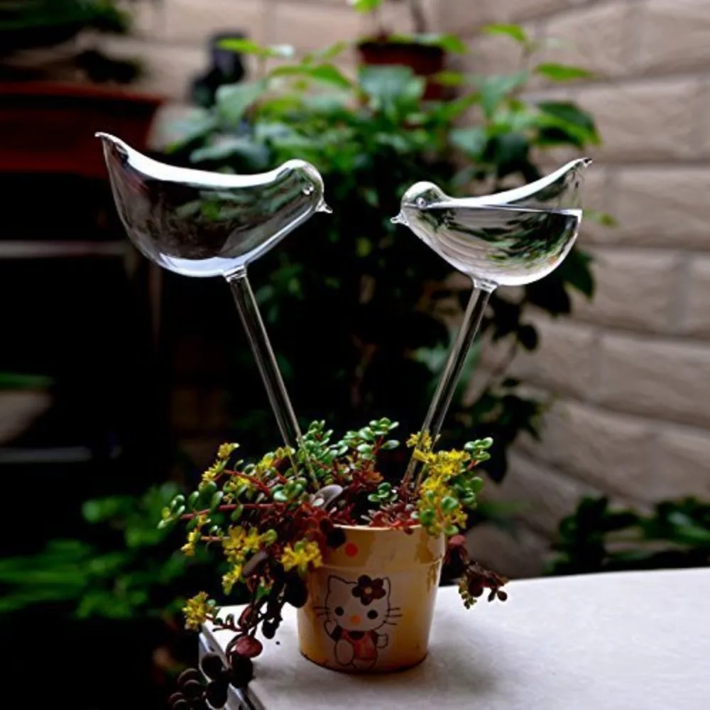 새 모양 투명 자동 꽃 급수 장치, 자체 급수 드립 시 - Plant Watering Globe 리뷰 및 가격