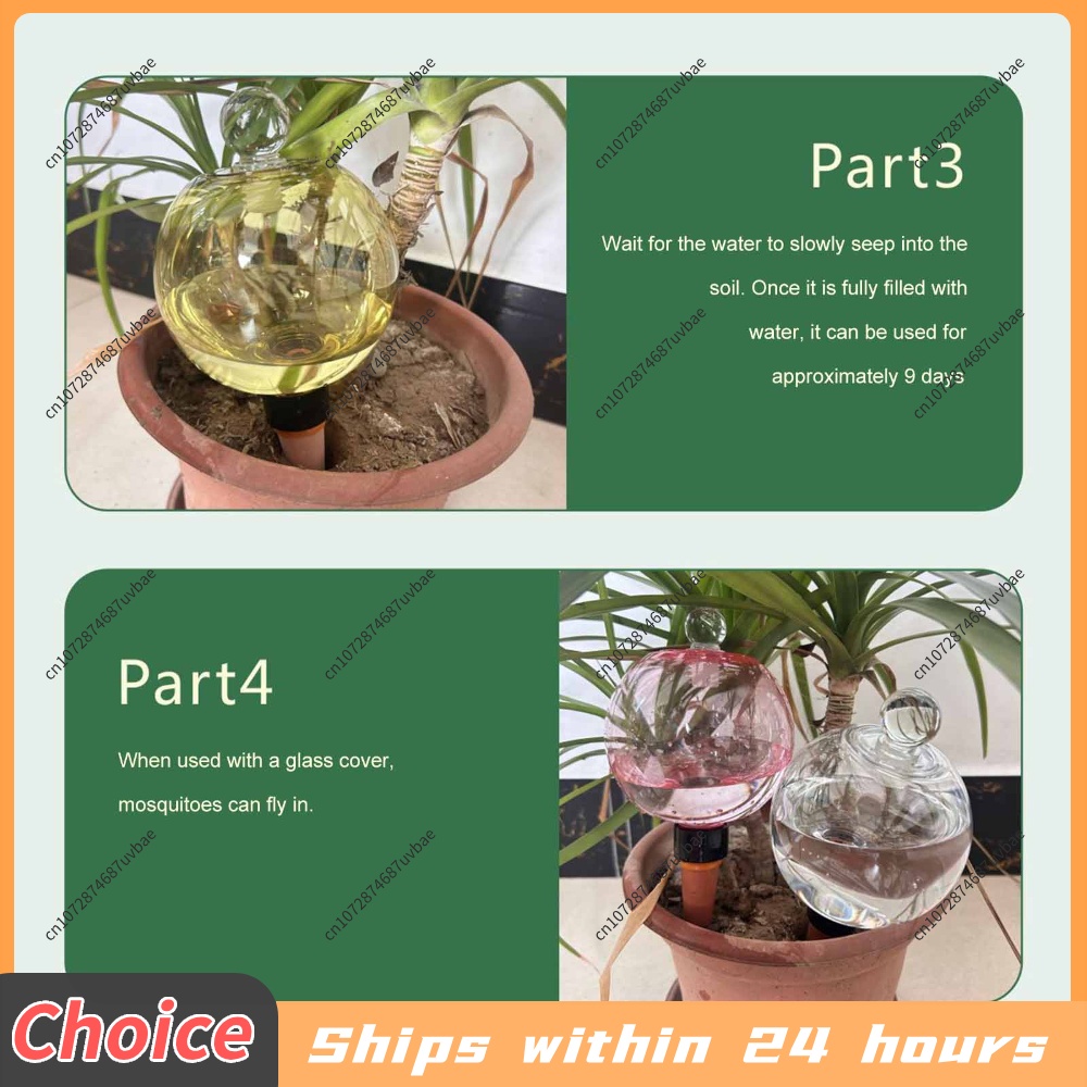 자동 급수 스파이크(뚜껑 분리 가능) 컬러 글로브 50 - Plant Watering Globe 리뷰 및 가격