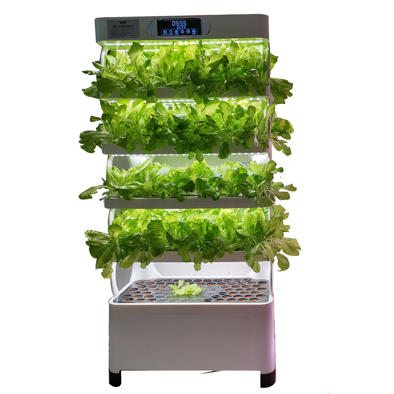 실내 스마트 저비용 수경재배 수직 정원 수경식물 채소  - Smart Garden Vertical 리뷰 및 가격