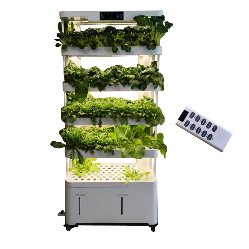 실내 스마트 저비용 수경재배 수직 정원 수경식물 채소  - Smart Garden Vertical 리뷰 및 가격