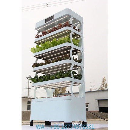 가정용 수경재배 시스템 신제품 실내 스마트 가든 수경재 - Smart Garden Vertical 리뷰 및 가격