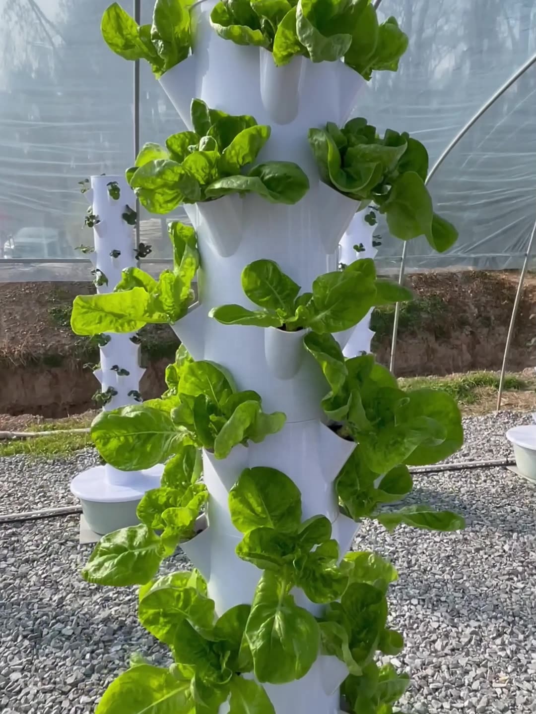 2024년형 스마트 저비용 수직형 타워 온실 수경재배  - Smart Garden Vertical 리뷰 및 가격