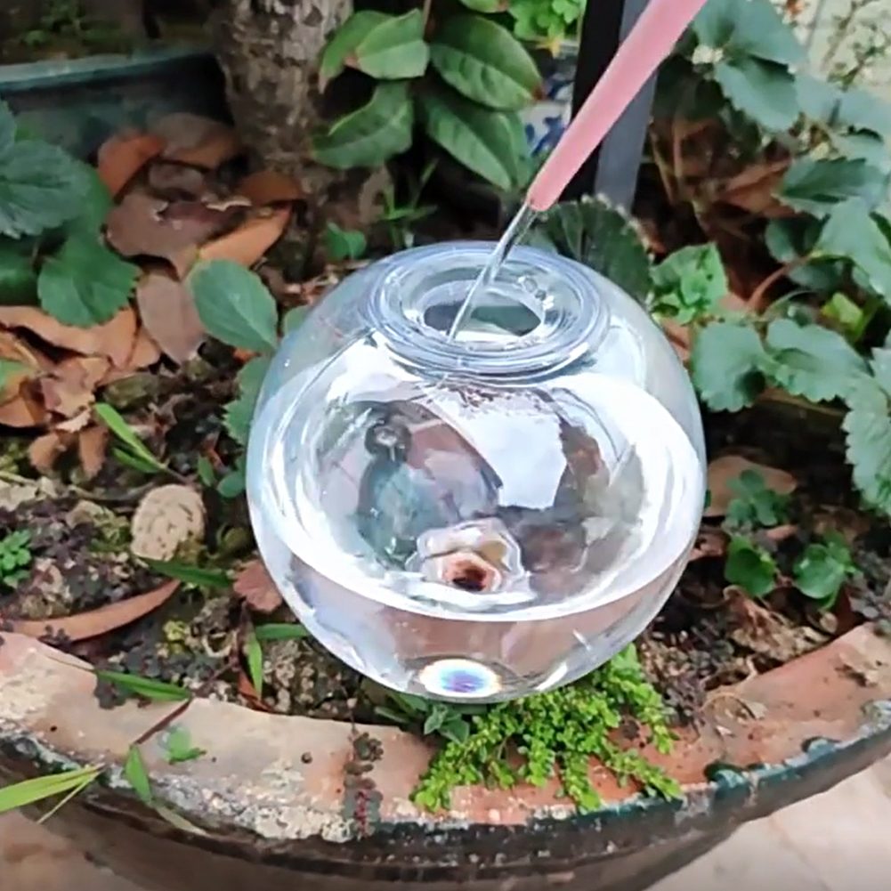 500ML 자동 급수 글로브 점적 관개 시스템 자동 급 - Plant Watering Globe 리뷰 및 가격