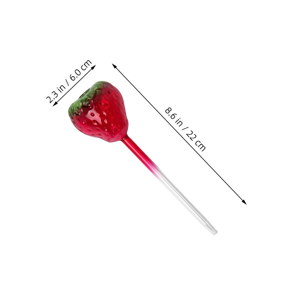 2개입 유리 딸기 식물 물주기 글로브 자동 자가 급수  - Plant Watering Globe 리뷰 및 가격