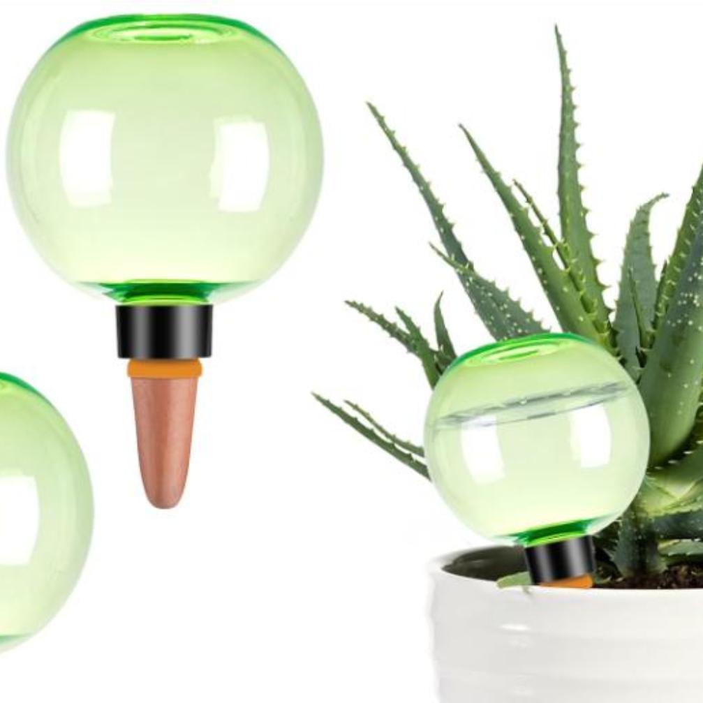 3개 대형 식물 자동 급수 글로브 플라스틱 물병 자동  - Plant Watering Globe 리뷰 및 가격