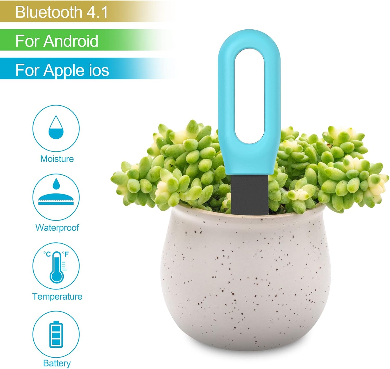 Tuya Bluetooth Zigbee 스마트 토양 테 - Soil Test Digital 리뷰 및 가격