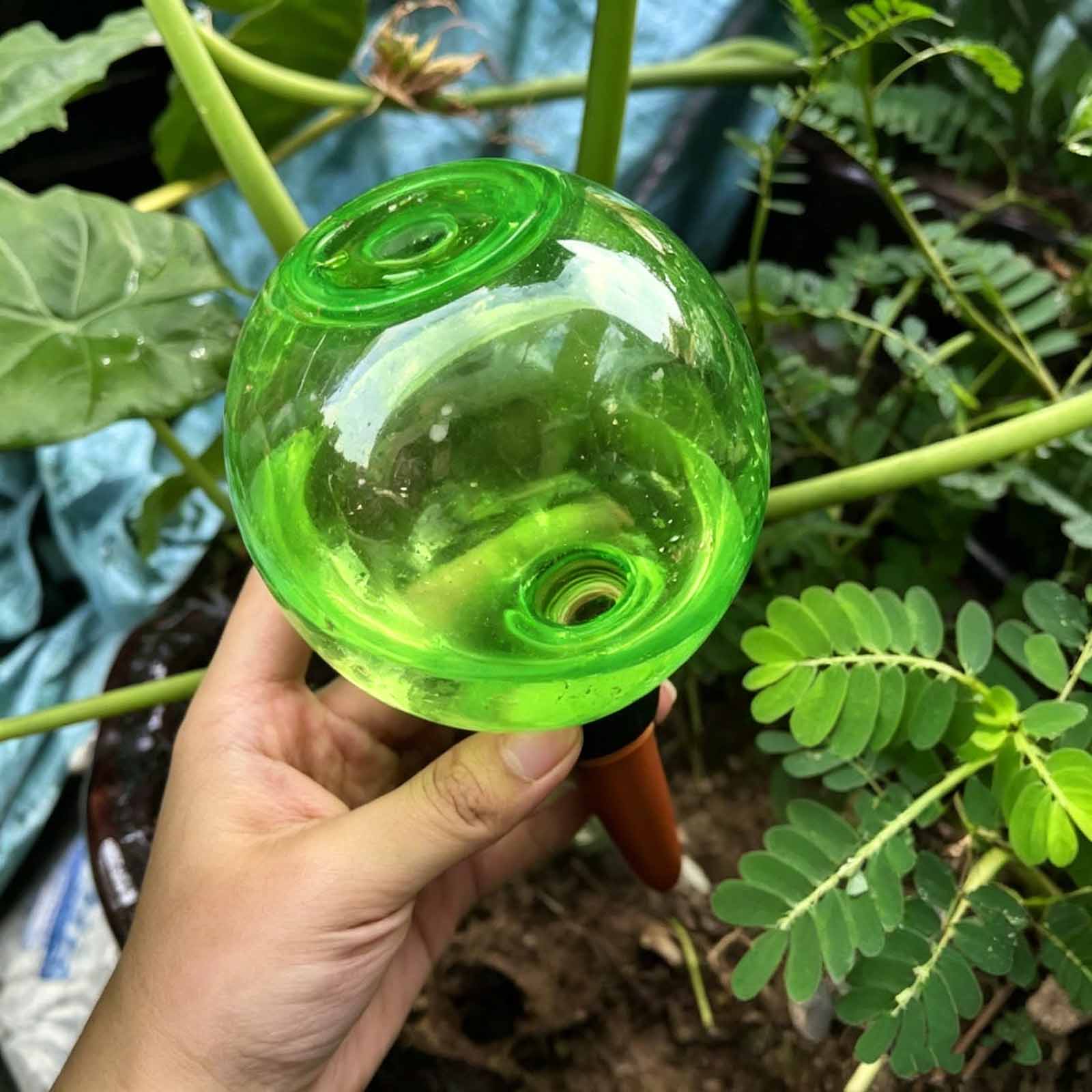 1/4개 식물 자동 급수 글로브 자동 점적 관개 시스템 - Plant Watering Globe 리뷰 및 가격