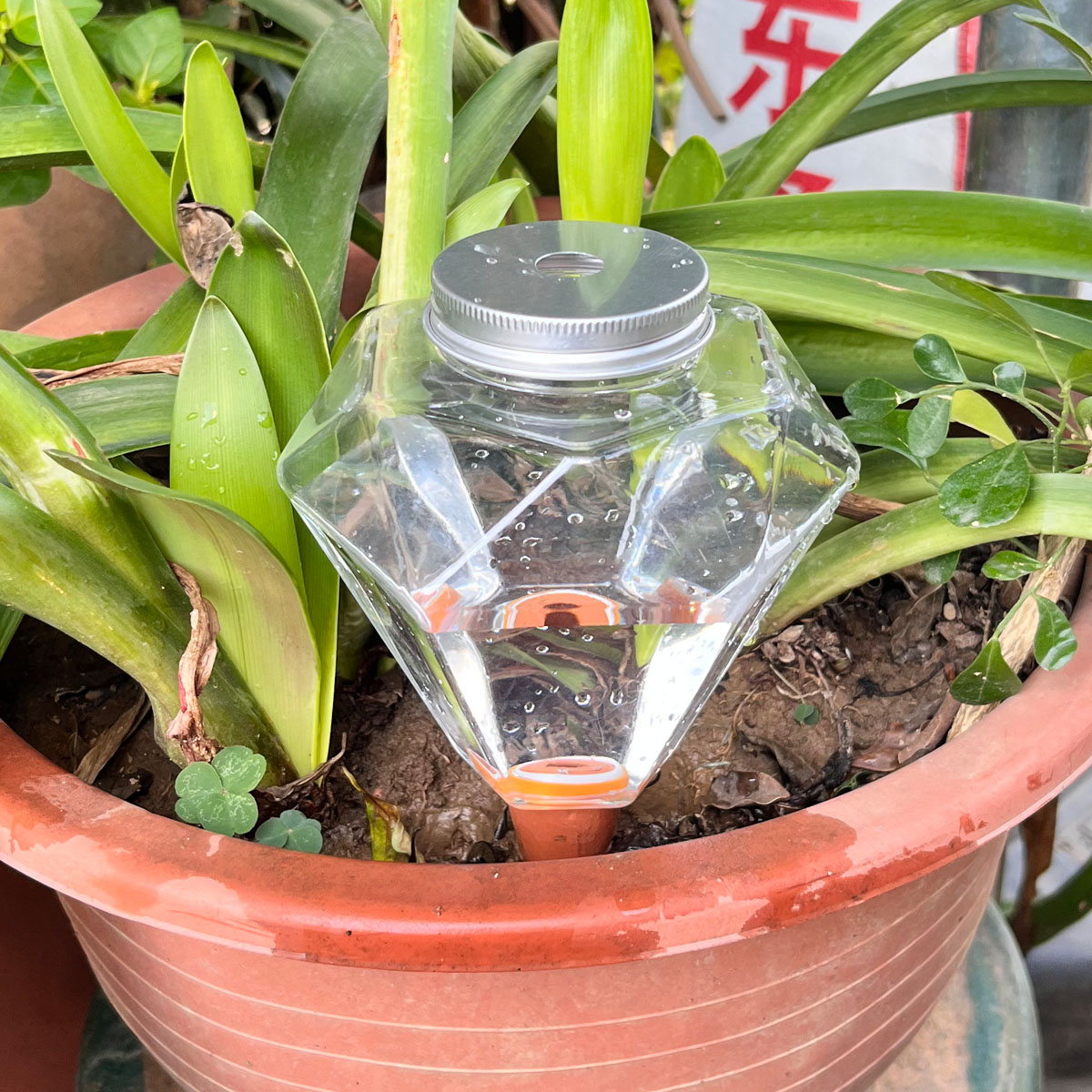 귀여운 플라스틱 자동 급수기 1개, 실내외 식물용 자동 - Plant Watering Globe 리뷰 및 가격