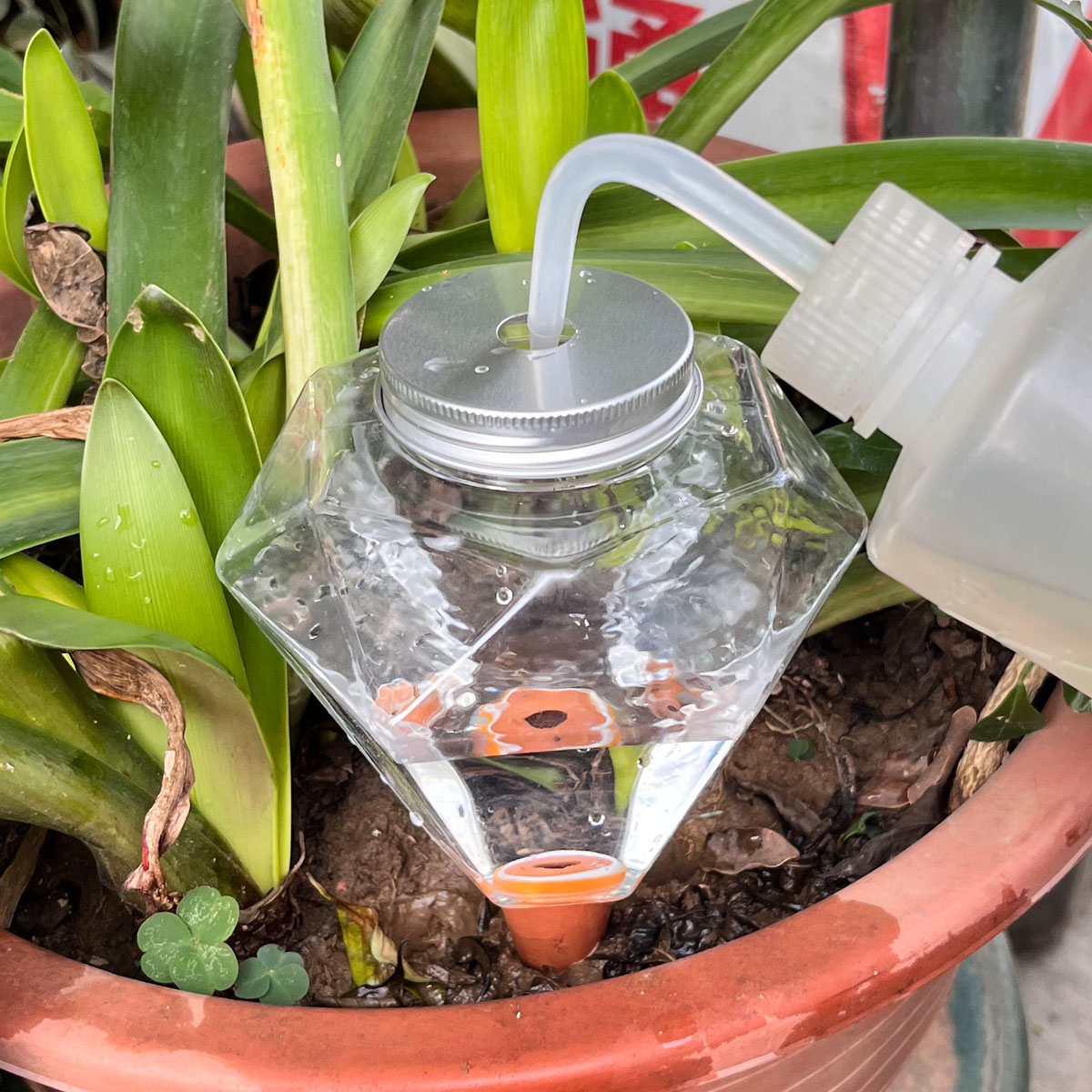 귀여운 플라스틱 자동 급수기 1개, 실내외 식물용 자동 - Plant Watering Globe 리뷰 및 가격