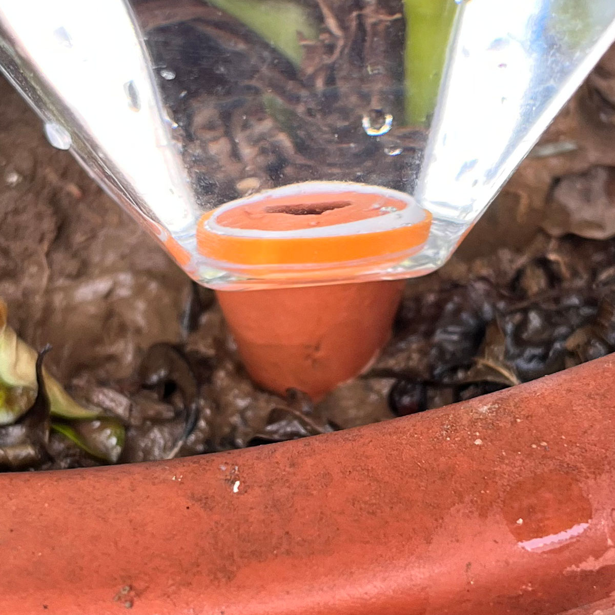 귀여운 플라스틱 자동 급수기 1개, 실내외 식물용 자동 - Plant Watering Globe 리뷰 및 가격