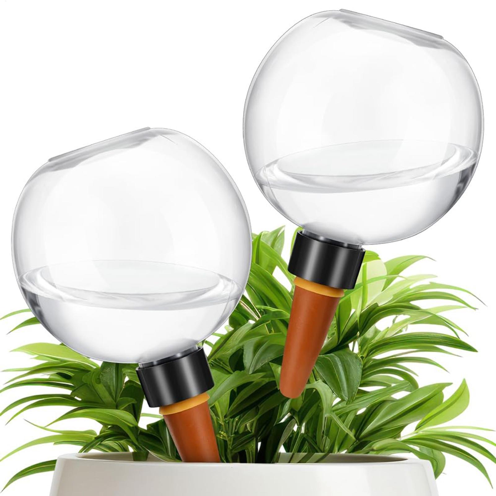 500ml 자동 식물 급수 구슬 유리 글로브 플랜터 삽 - Plant Watering Globe 리뷰 및 가격