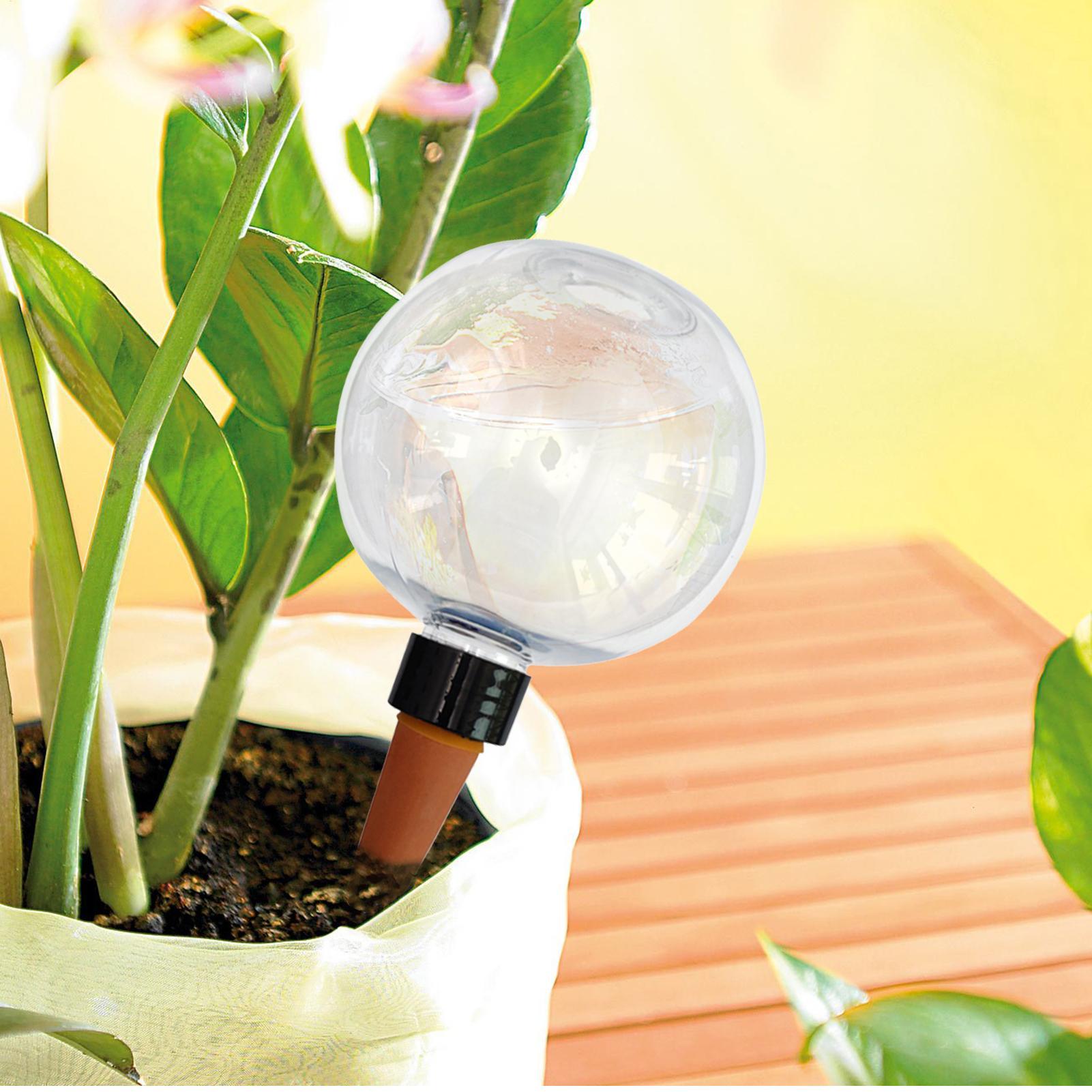 500ml 자동 식물 급수 구슬 유리 글로브 플랜터 삽 - Plant Watering Globe 리뷰 및 가격