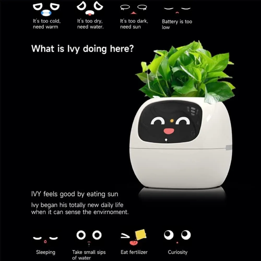 AI 칩 7개 센서가 탑재된 스마트 화분, 가정, 책상 - Smart Garden Offices 리뷰 및 가격